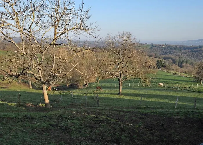 度假居 La P'tite Chaumiere